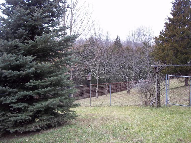 65 Hale Road Butler, KY 41006 - Photo 9 of 12 Gallery Image 9