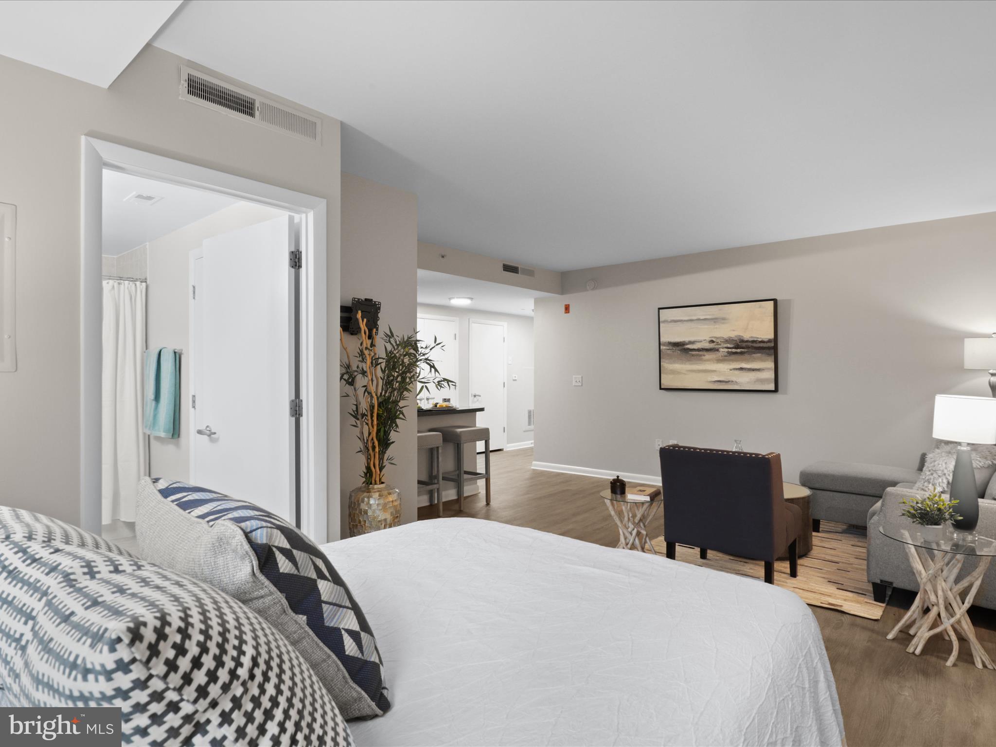 350 G Street Southwest, Unit N407 Washington, DC 20024 - Photo 17 of 33 Gallery Image 17