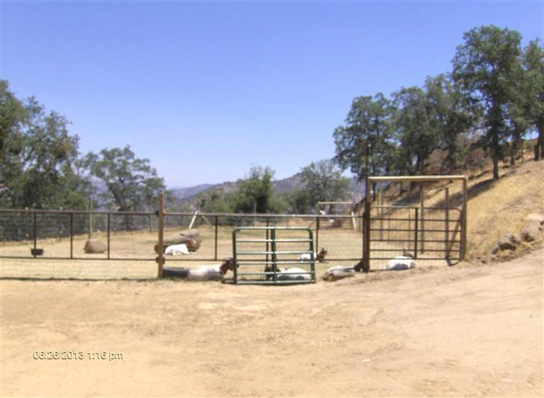 34701 George Smith Road Squaw Valley, CA 93675 - Photo 6 of 8 Gallery Image 6
