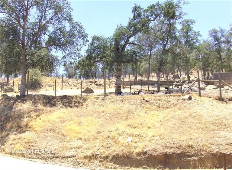 34701 George Smith Road Squaw Valley, CA 93675 - Photo 8 of 8 Gallery Image 8