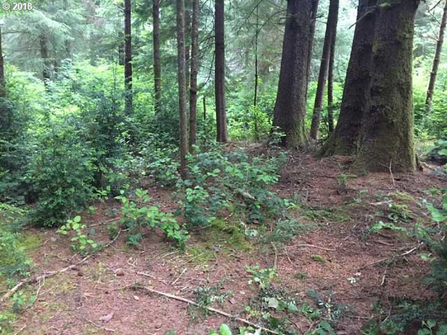 Summerbell Florence, OR 97439 - Photo 3 of 11 Gallery Image 3