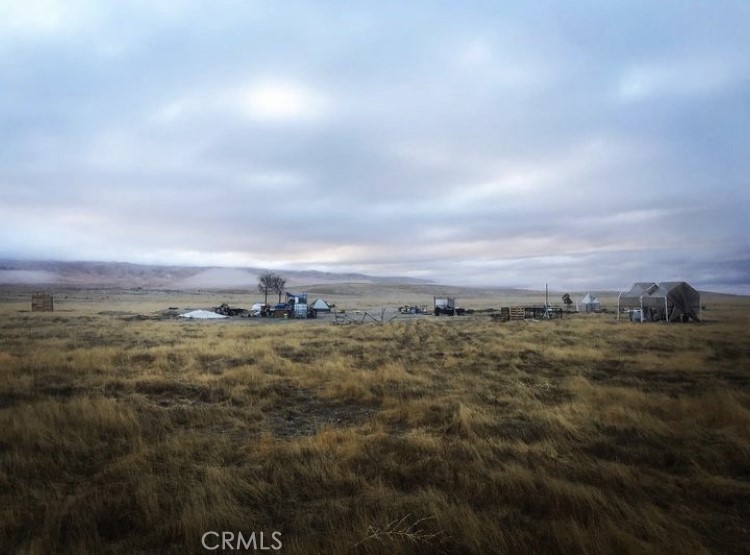a view of a big yard with lots of trees in the background