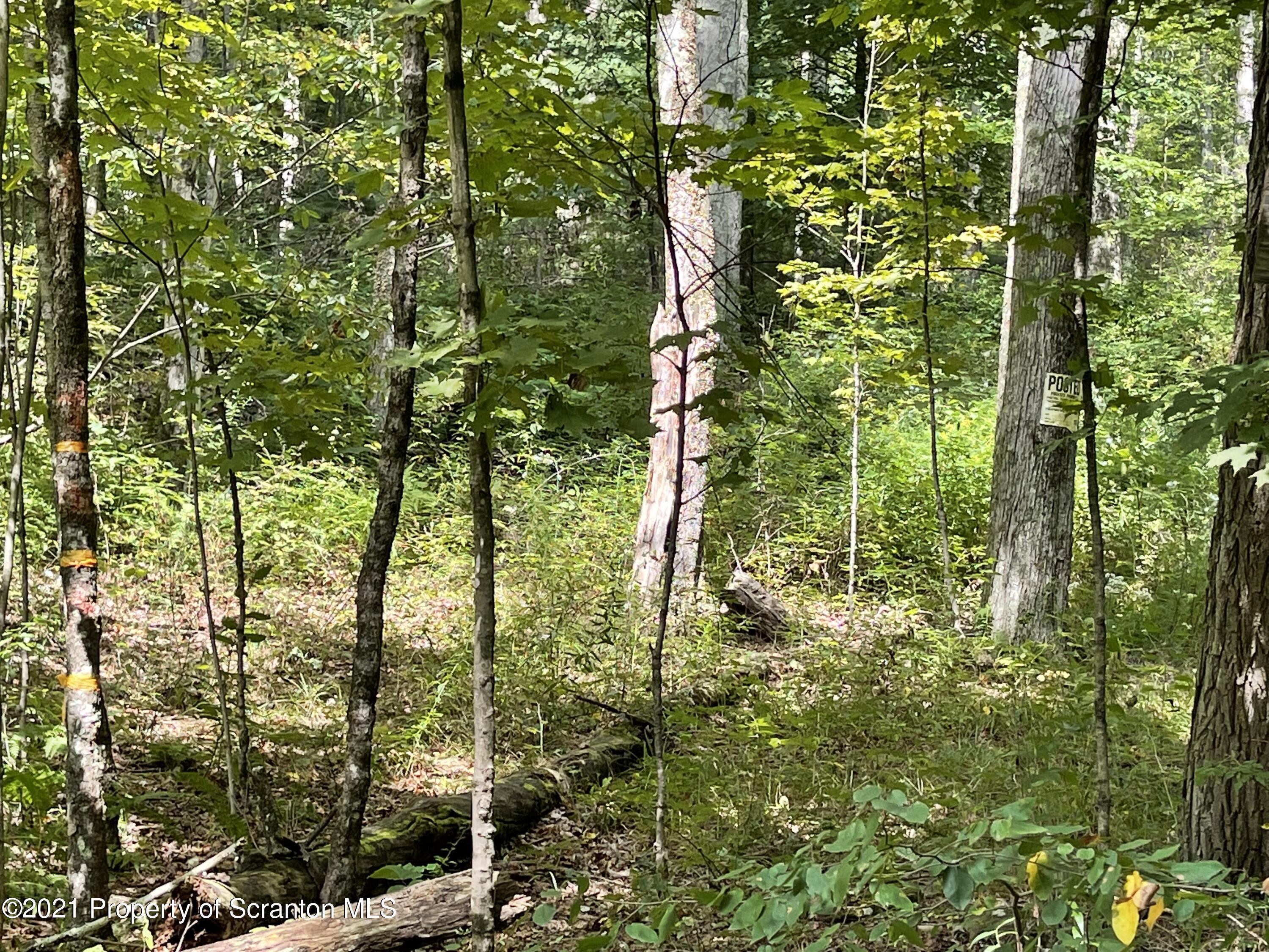 Keenan Road Little Meadows, PA 18830 - Photo 3 of 10 1-S830_Frnt Corner