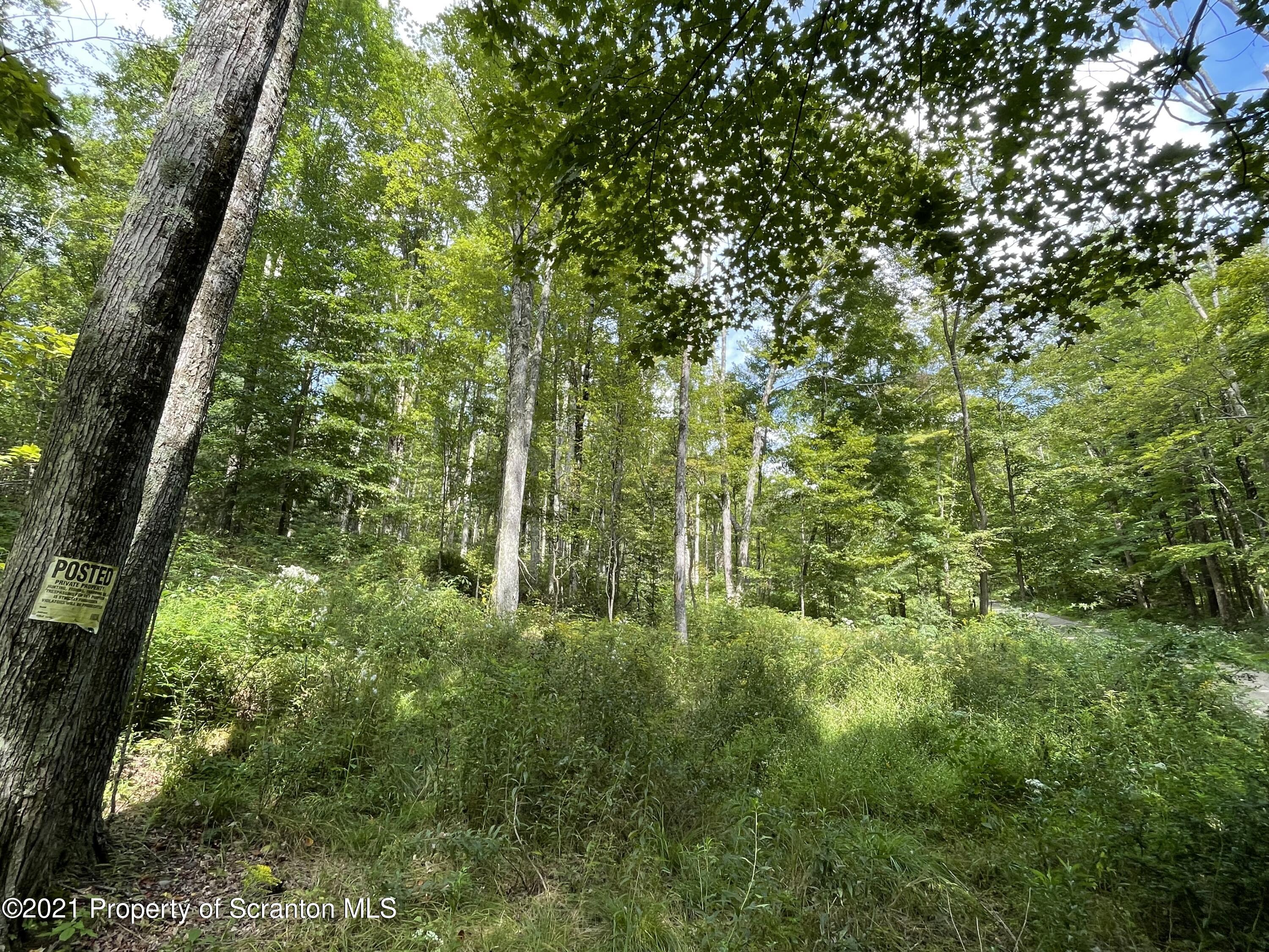 Keenan Road Little Meadows, PA 18830 - Photo 4 of 10 2-830_Woods-2