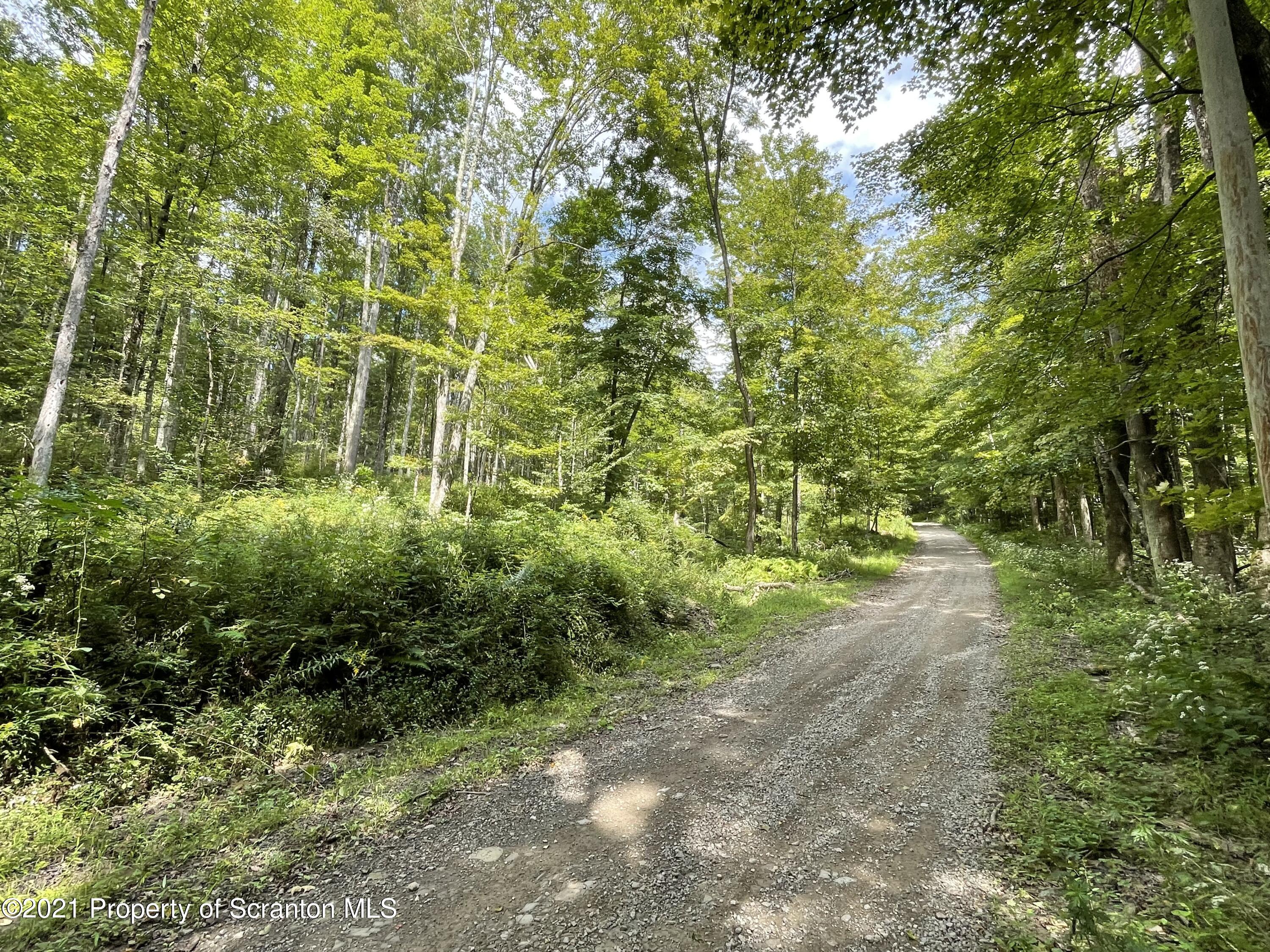 Keenan Road Little Meadows, PA 18830 - Photo 5 of 10 3-S830_Road-2