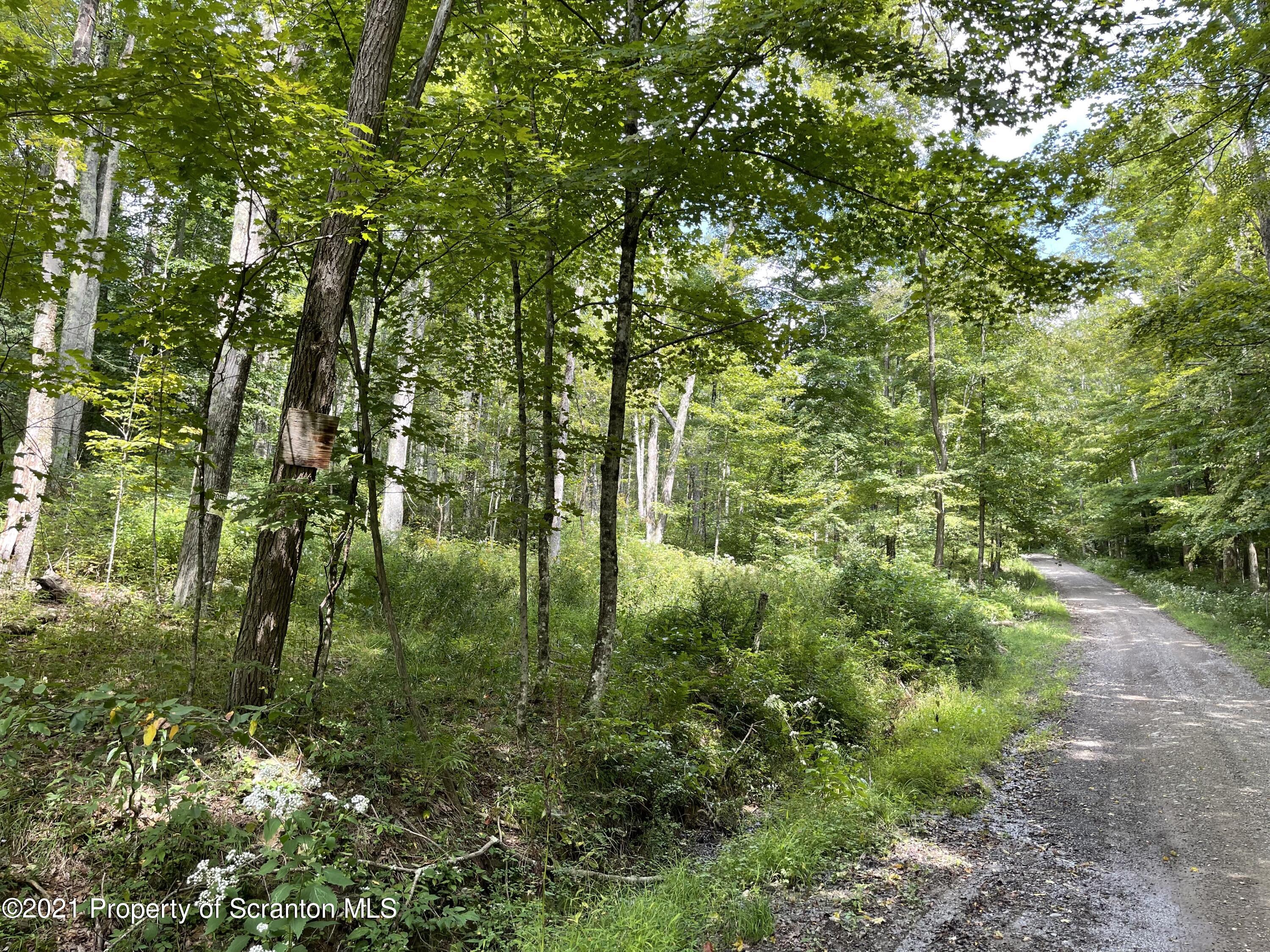 Keenan Road Little Meadows, PA 18830 - Photo 6 of 10 4-S830_Road