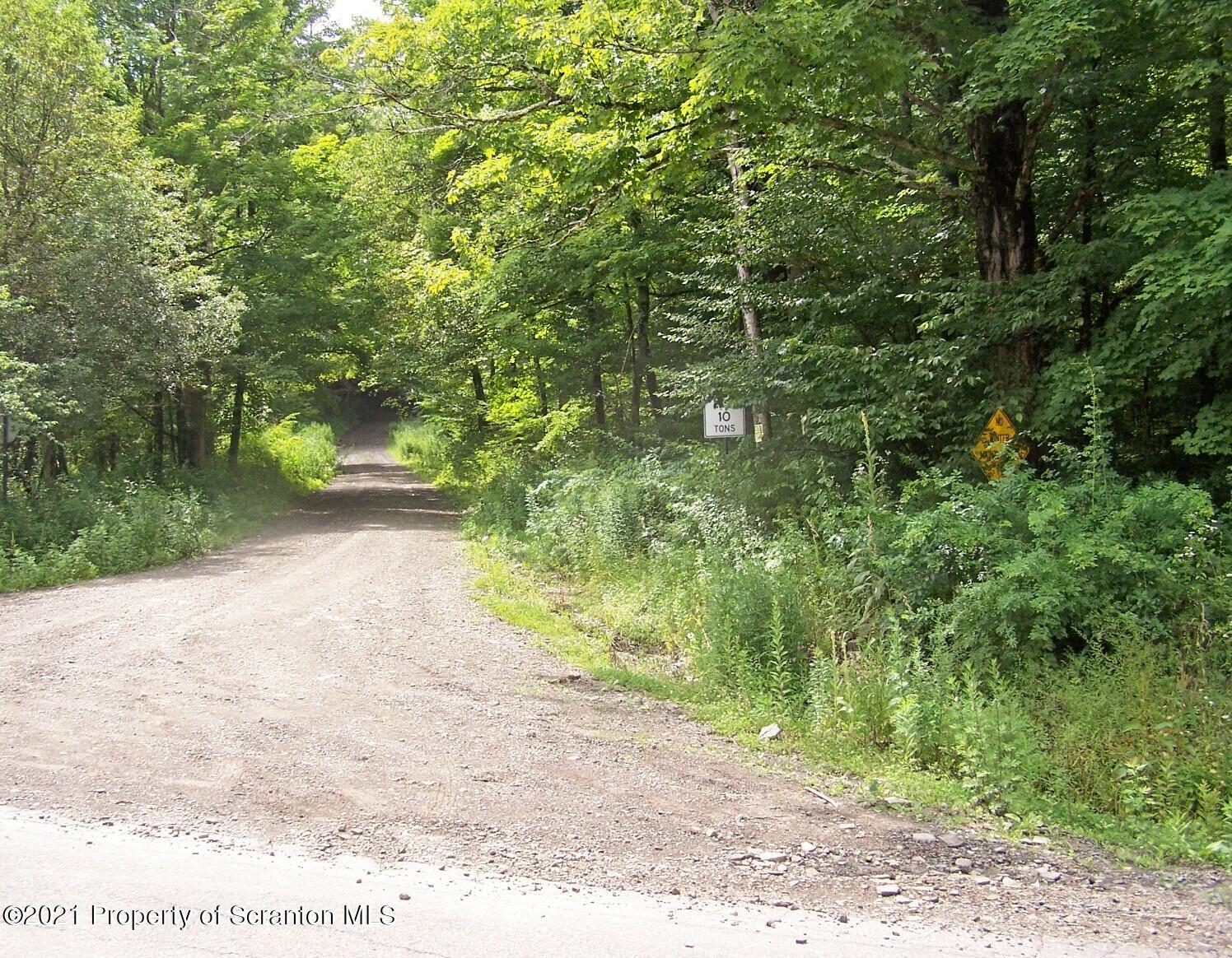 Keenan Road Little Meadows, PA 18830 - Photo 9 of 10 7-S830A_858-Stephen Jones