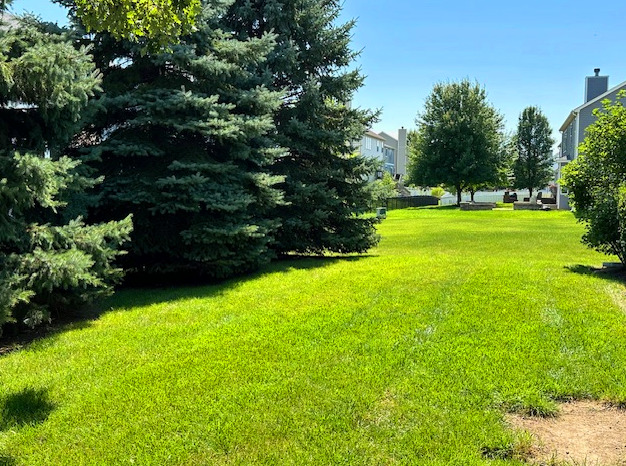 945 Forest View Way Antioch, IL 60002 - Photo 10 of 16