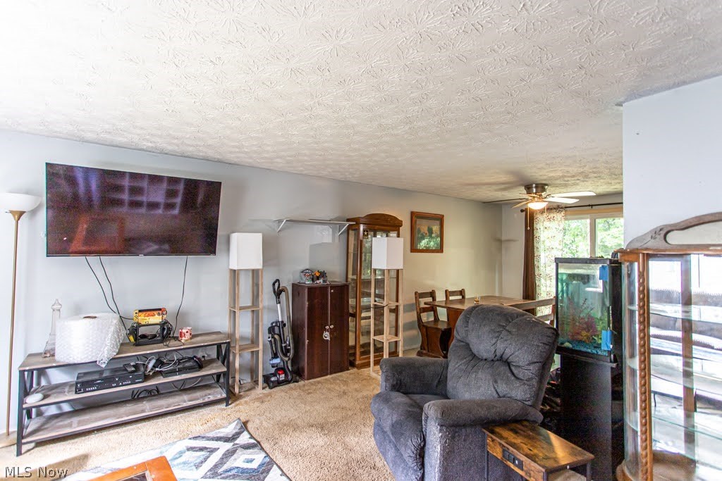 7764 Micawber Road Northeast Warren, OH 44484 - Photo 6 of 29