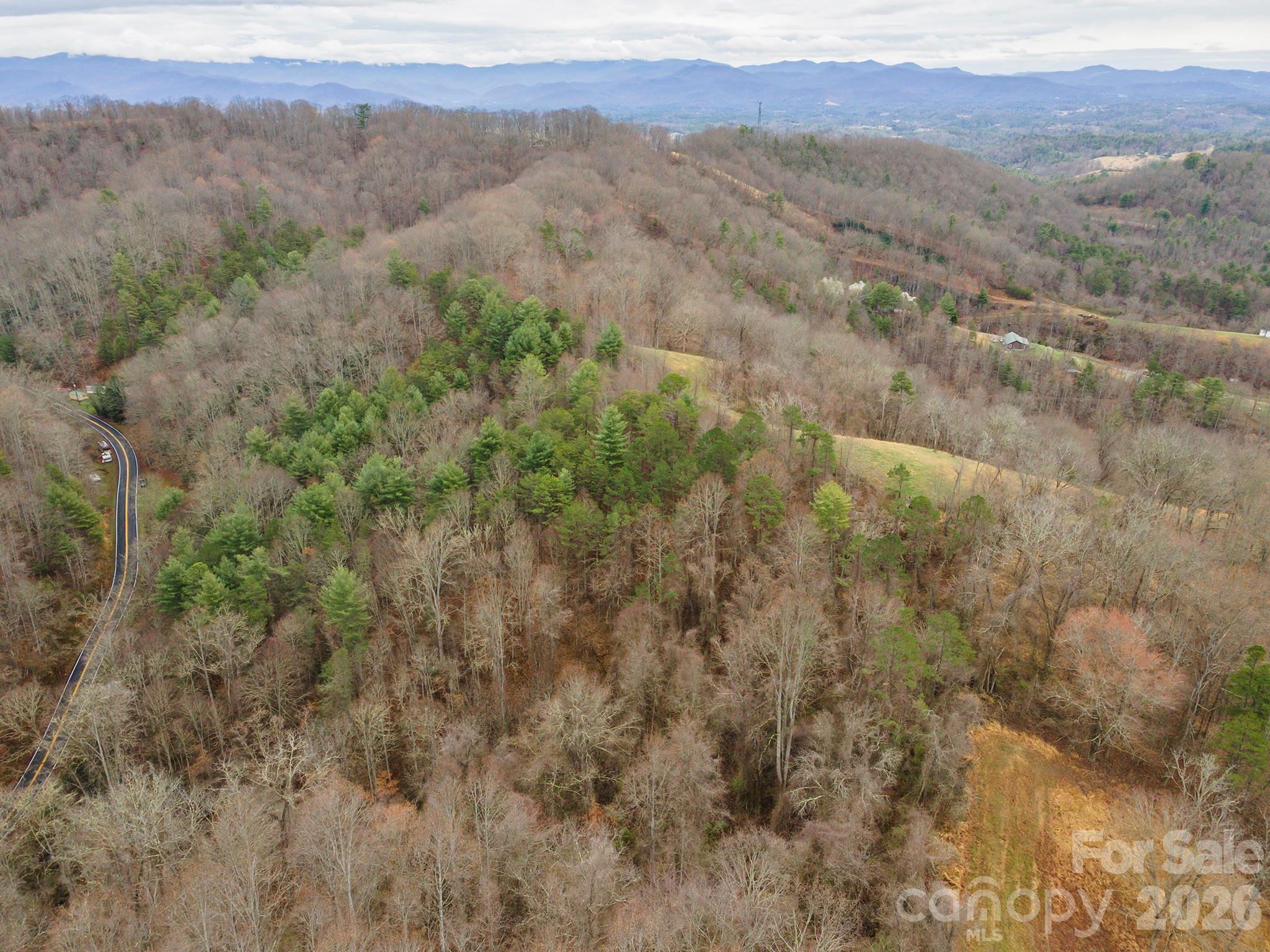 a view of a lush green forest with lush green forest