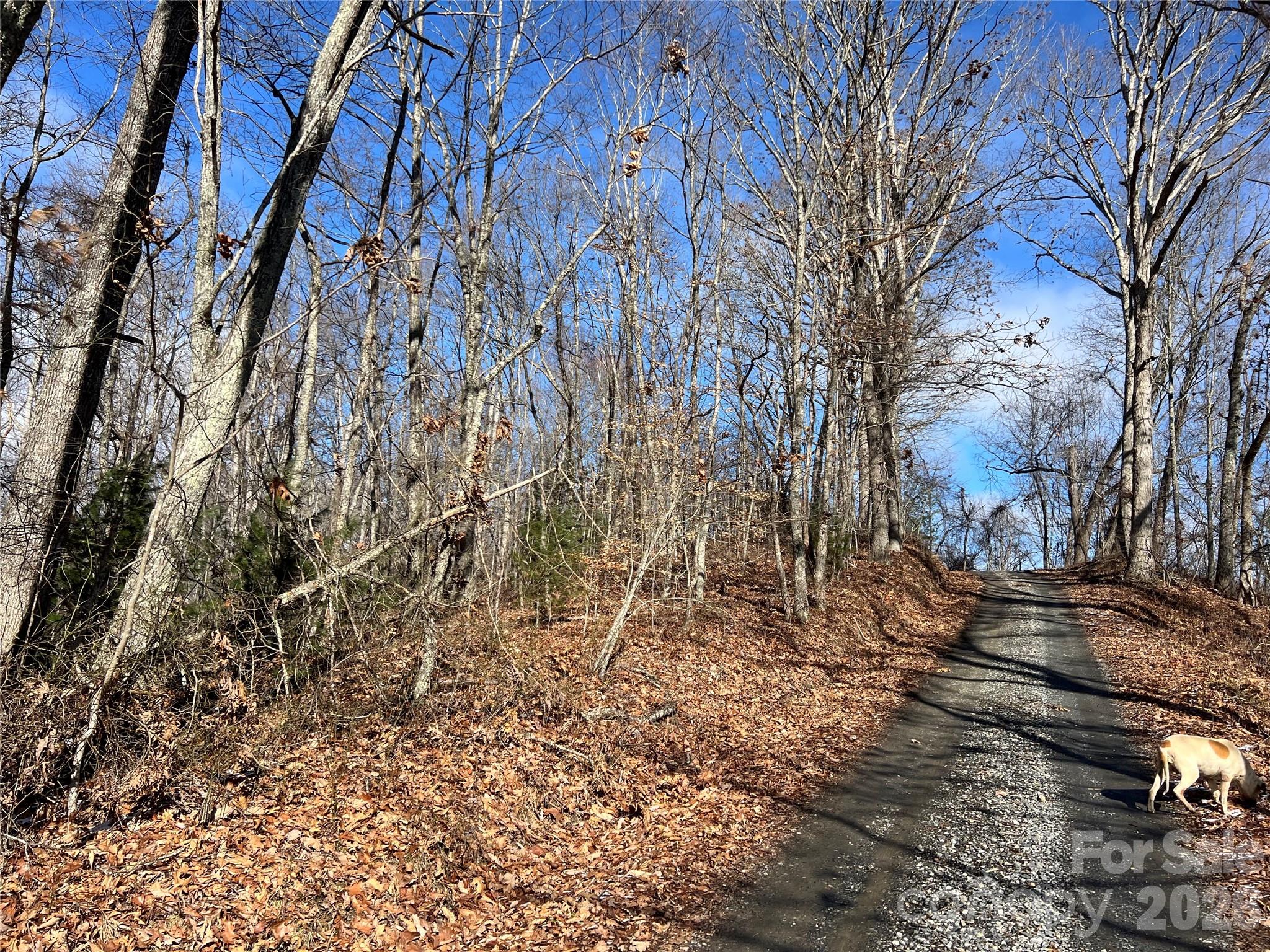 1974 Ammons Branch Road Marshall, NC 28753 - Photo 12 of 15 a backyard of a house with lots of green space