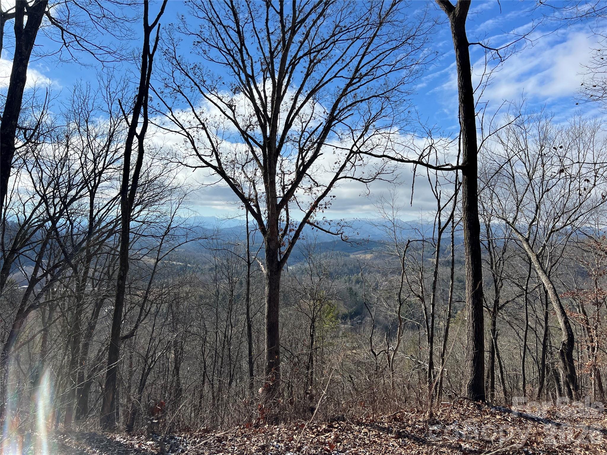 1974 Ammons Branch Road Marshall, NC 28753 - Photo 14 of 15 a view of a yard covered with snow and trees