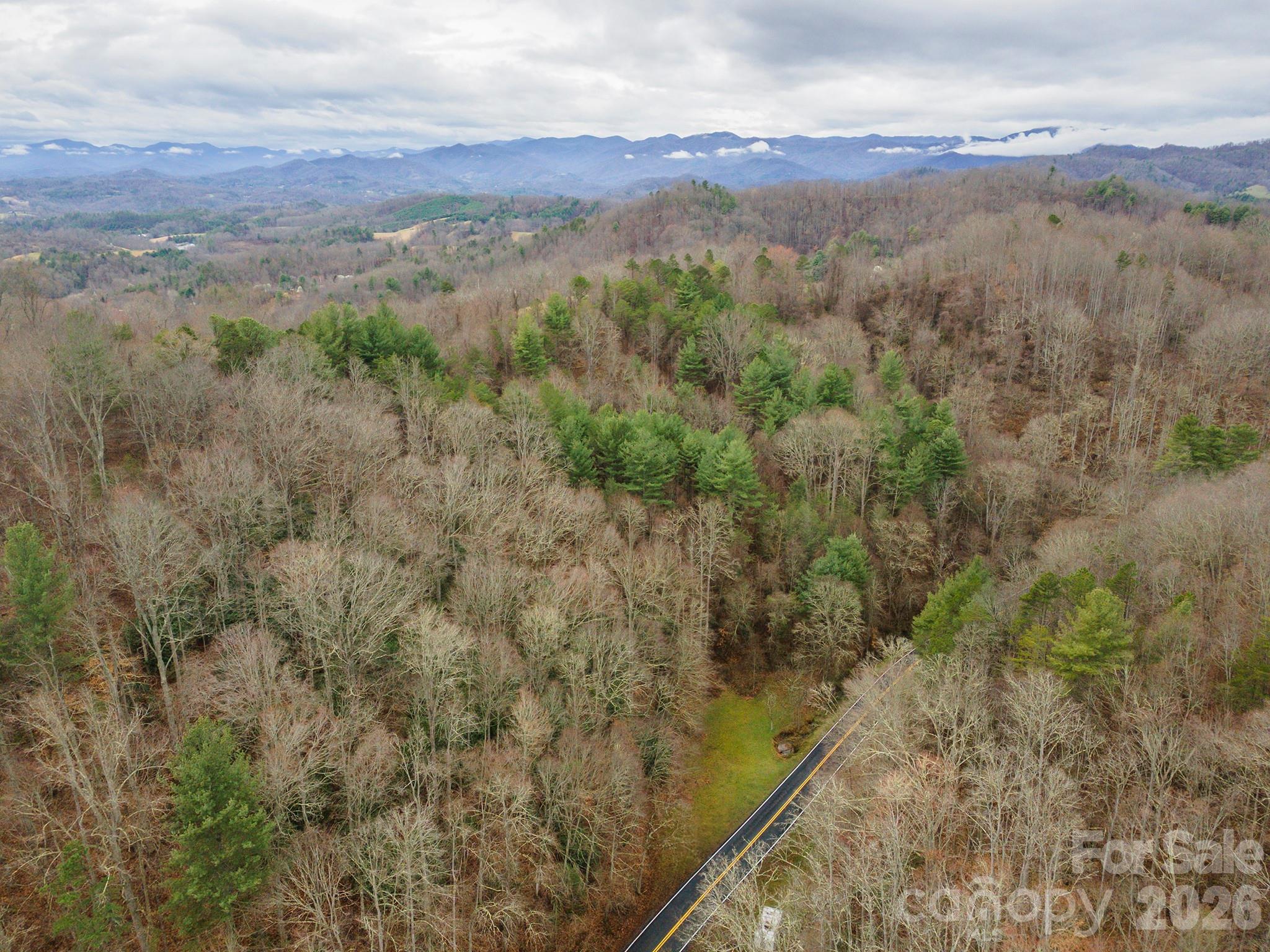 1974 Ammons Branch Road Marshall, NC 28753 - Photo 3 of 15