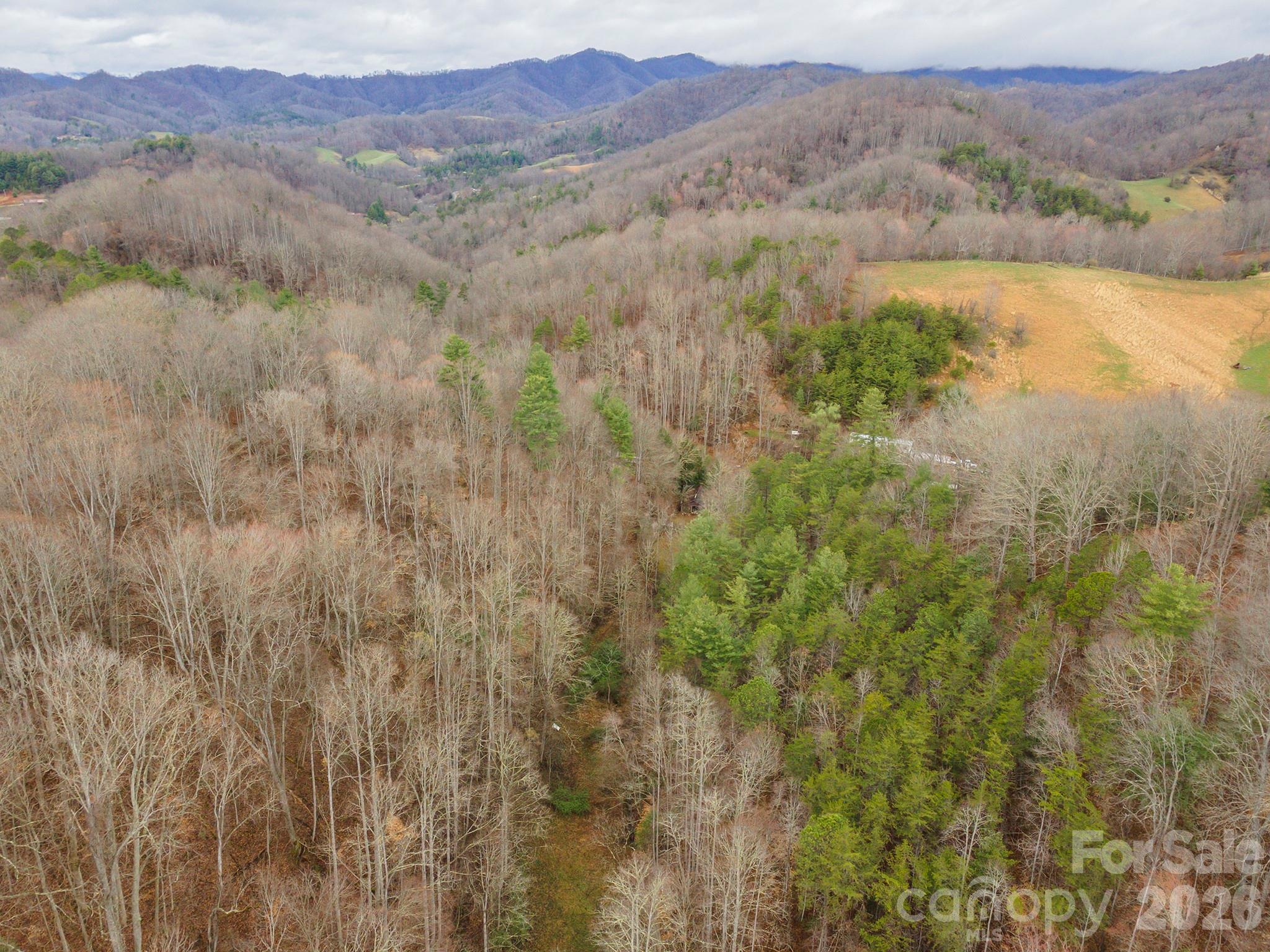 1974 Ammons Branch Road Marshall, NC 28753 - Photo 4 of 15 a view of mountain and a lake view