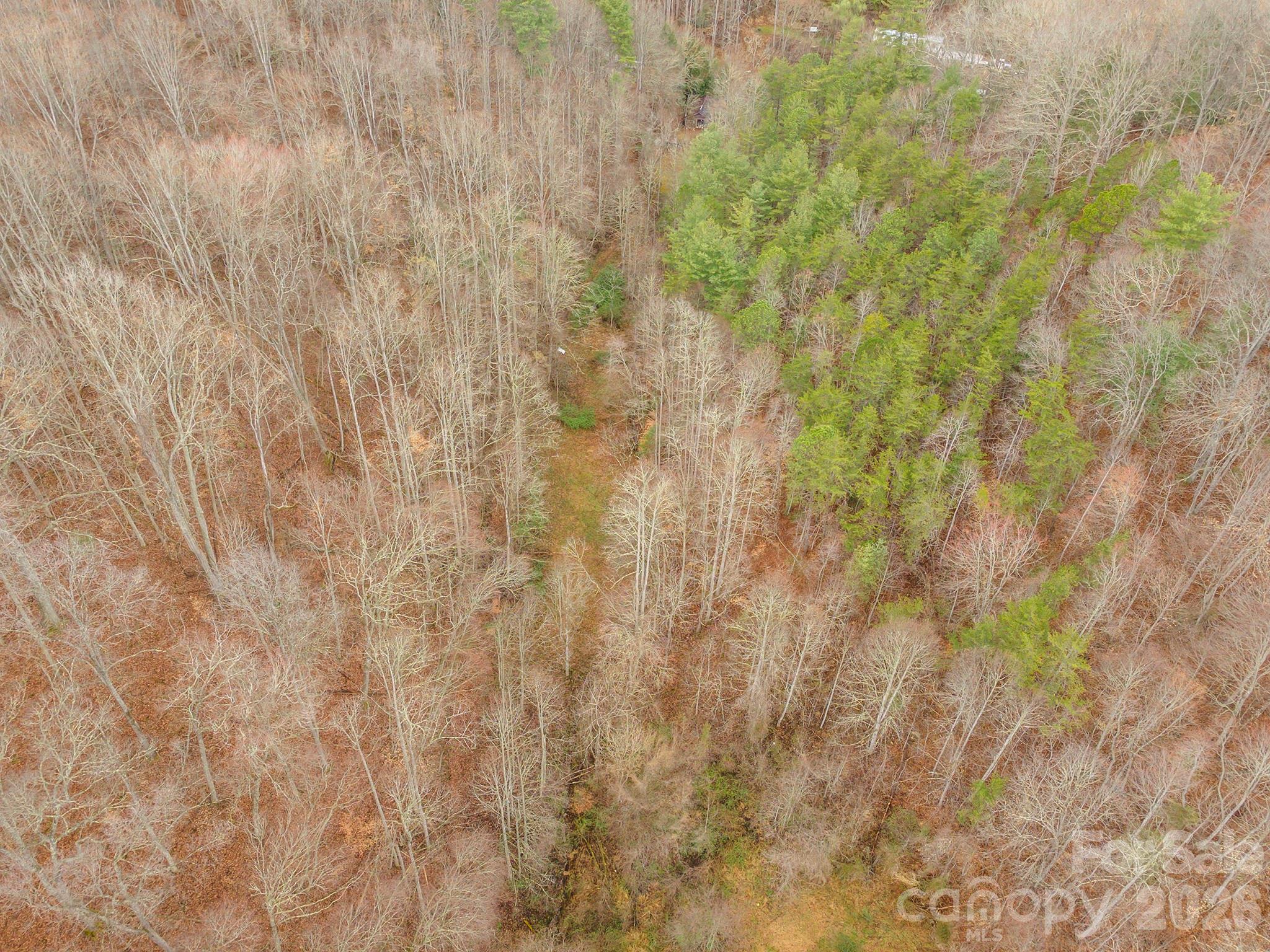 1974 Ammons Branch Road Marshall, NC 28753 - Photo 5 of 15