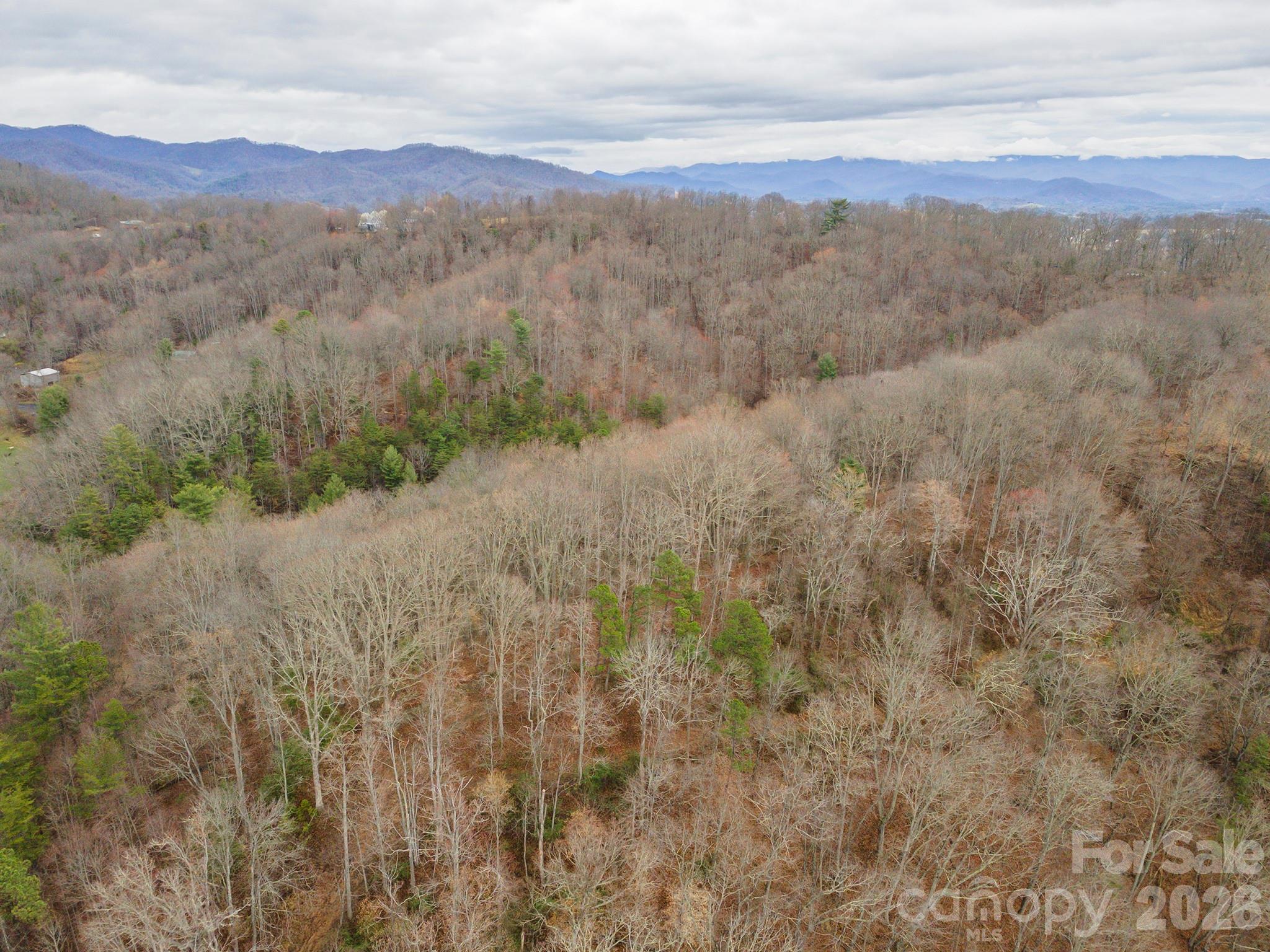 1974 Ammons Branch Road Marshall, NC 28753 - Photo 6 of 15 a view of mountain view with lush green forest