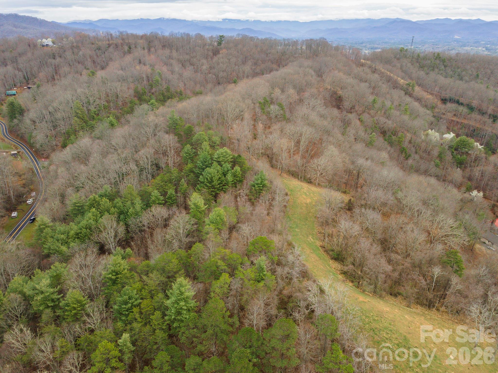 1974 Ammons Branch Road Marshall, NC 28753 - Photo 7 of 15 a view of a forest with trees in the background