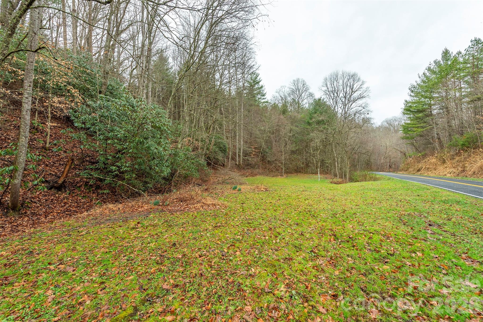 1974 Ammons Branch Road Marshall, NC 28753 - Photo 8 of 15 a view of outdoor space and yard