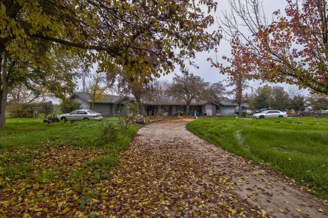 a huge green field with lots of trees
