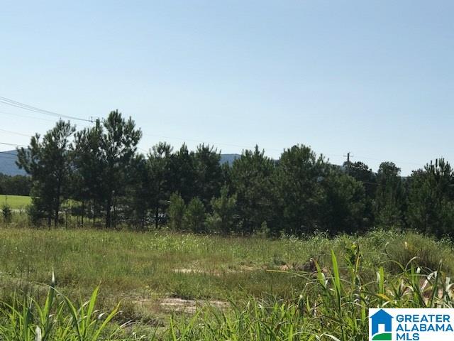 9 Easy Street, Unit 1 Anniston, AL 36207 - Photo 13 of 20