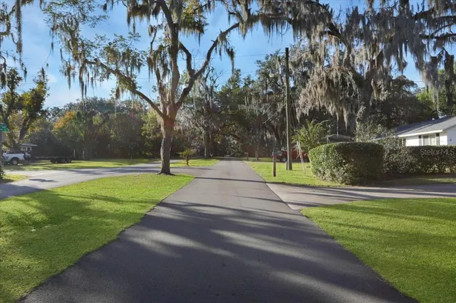 a view of park with plants