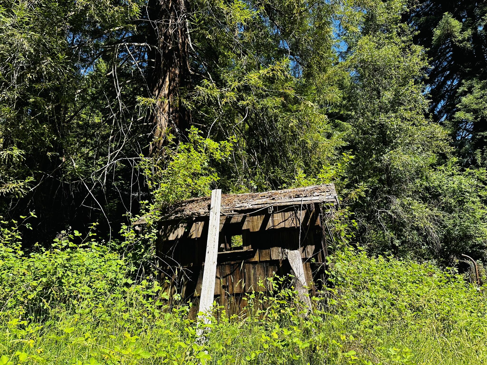 2675 Briceland Road Redway, CA 95560 - Photo 105 of 113 IMG_1327