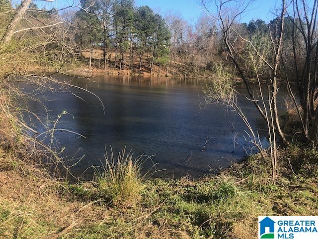 0 Shady Point Road, Unit 18 18 & 19 Locust Fork, AL 35097 - Photo 11 of 26