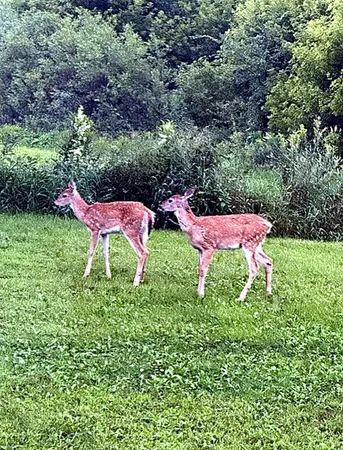 $825,000 | 17531 County 41 Boulevard, Red Wing, MN 55066