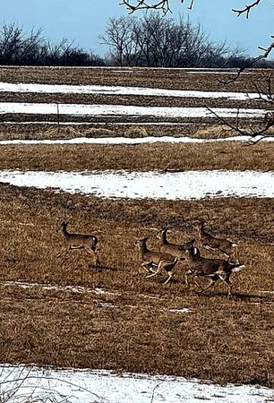 $825,000 | 17531 County 41 Boulevard, Red Wing, MN 55066