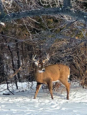 $825,000 | 17531 County 41 Boulevard, Red Wing, MN 55066