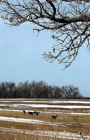 $825,000 | 17531 County 41 Boulevard, Red Wing, MN 55066