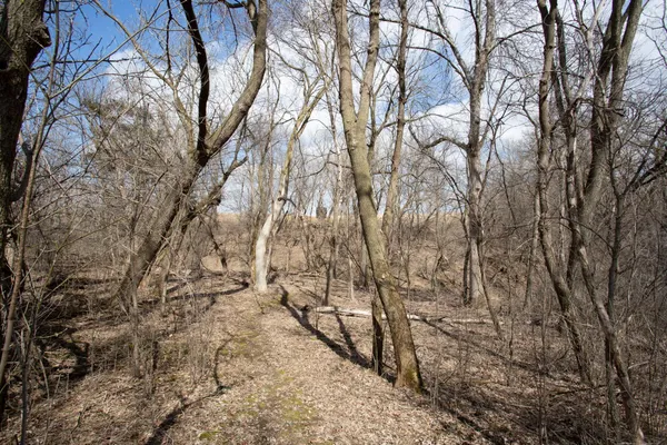 $825,000 | 17531 County 41 Boulevard, Red Wing, MN 55066