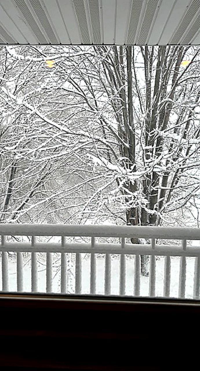 17531 County 41 Boulevard Red Wing, MN 55066 - Photo 100 of 110