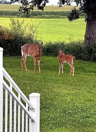 $825,000 | 17531 County 41 Boulevard, Red Wing, MN 55066