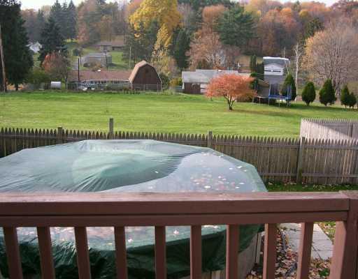 106 Dutchtown Road Butler, PA 16002 - Photo 7 of 8 Swimming Pool/Hot Tub/Sauna.