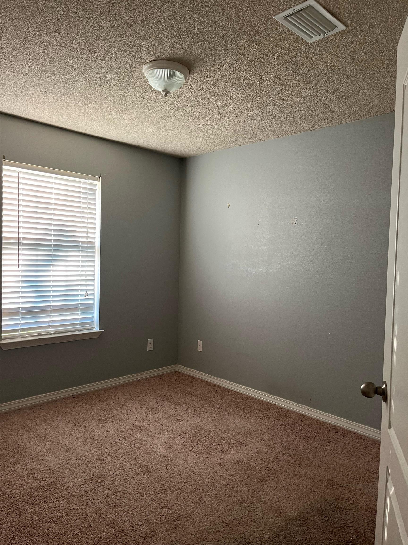299 Ogden Court Foley, AL 36535 - Photo 17 of 21 Other