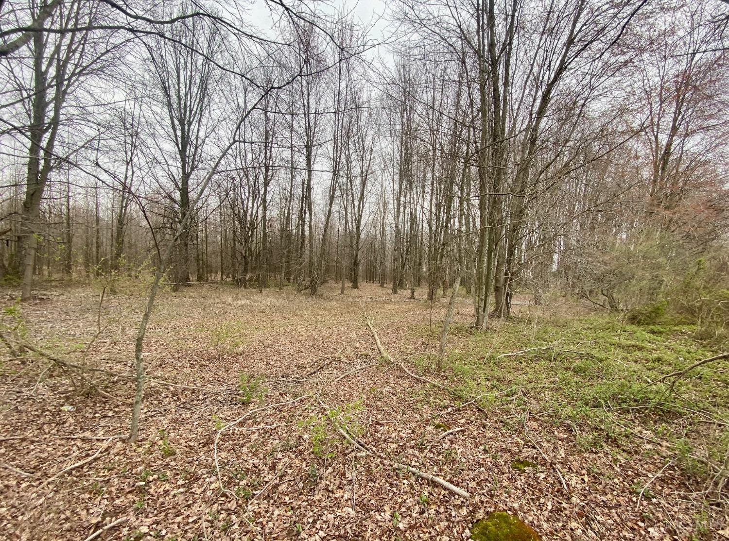 Ac Watson Road West Union, OH 45693 - Photo 10 of 18 Gallery Image 10