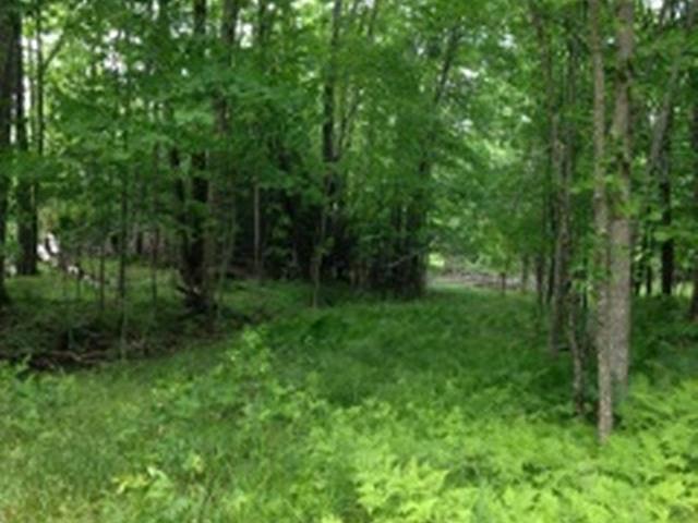 On Ormes Road, Unit LOT B Presque Isle, WI 54557 - Photo 3 of 8 Gallery Image 3