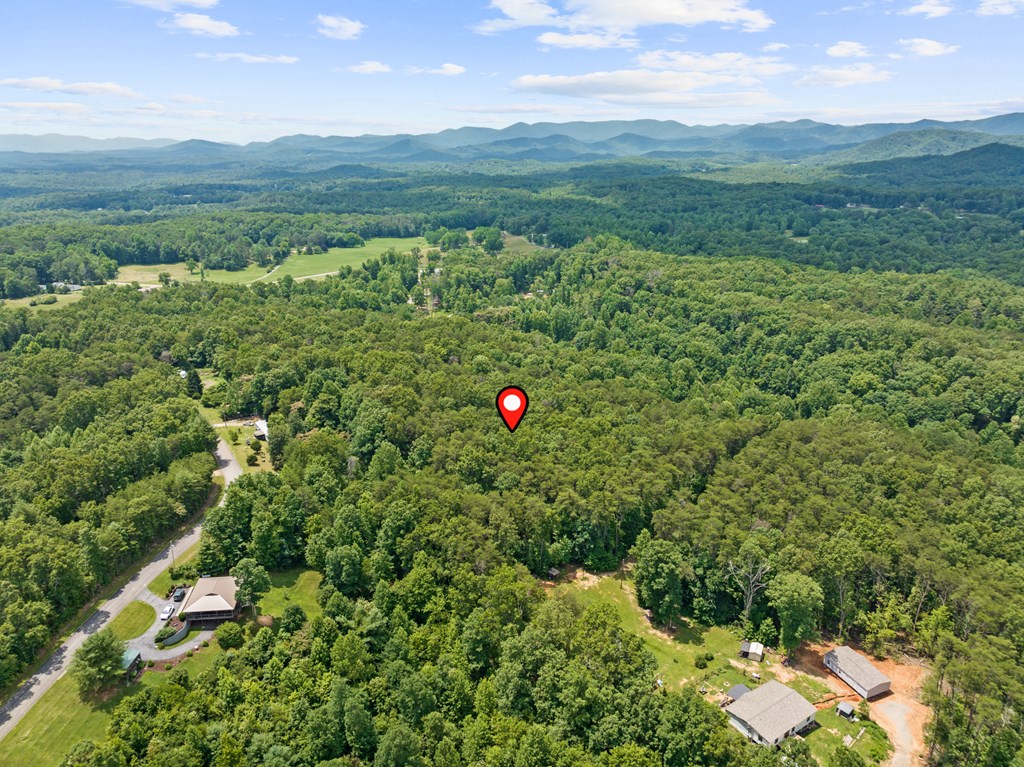 0 Crawford Road McCaysville, GA 30555 - Photo 13 of 21