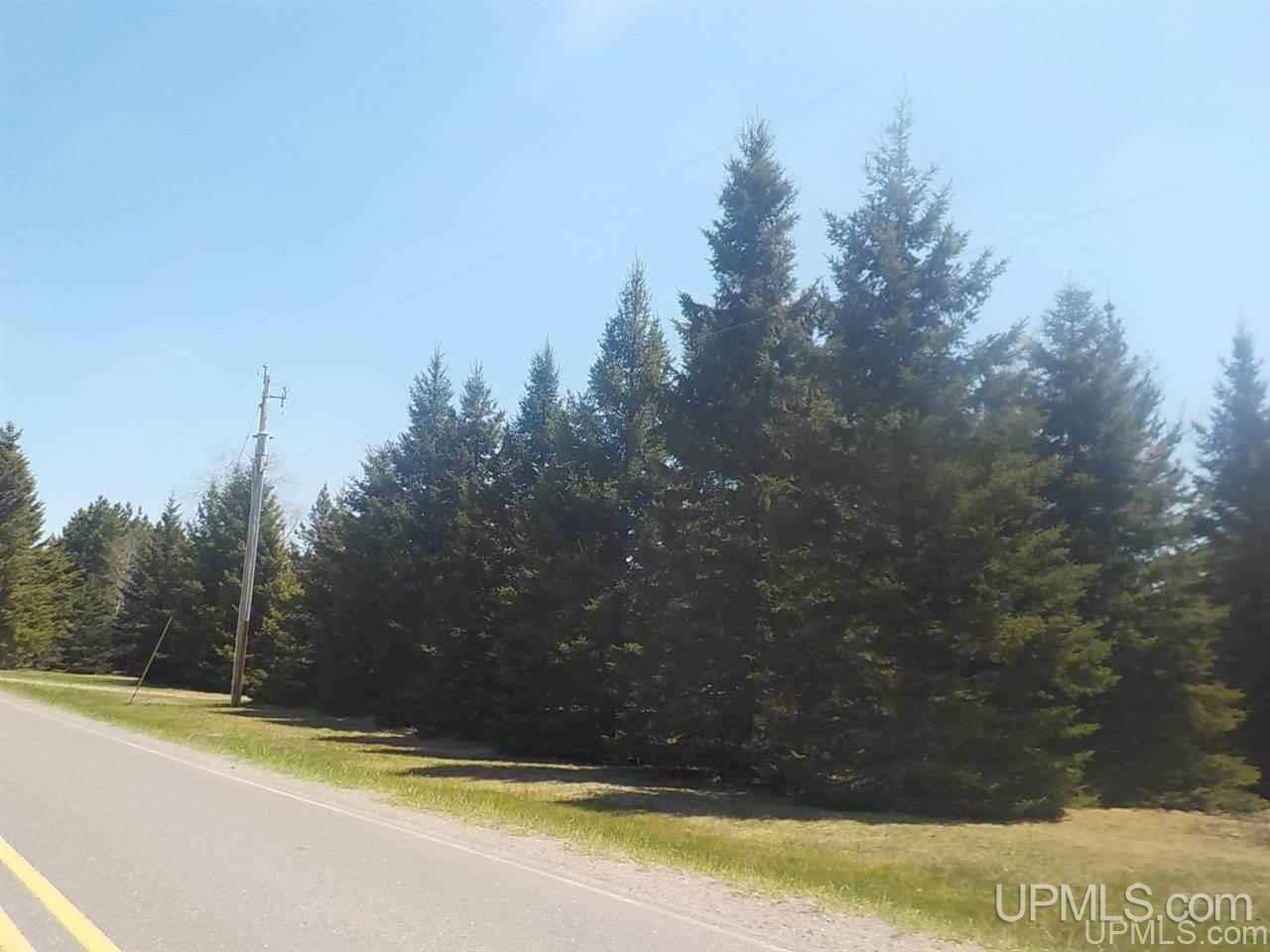 335 Lind Road Crystal Falls, MI 49920 - Photo 29 of 30