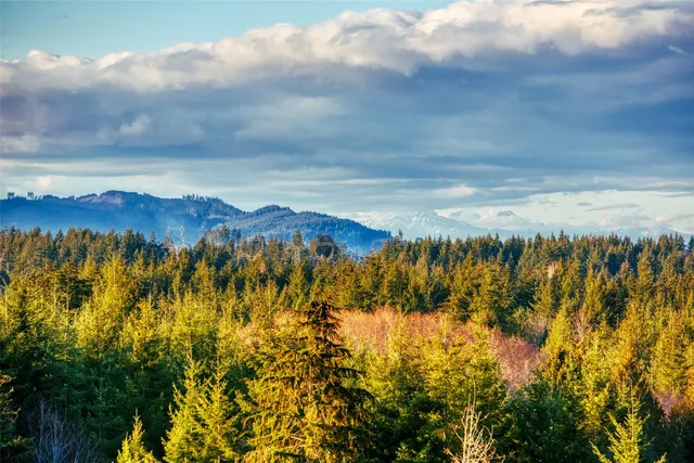 a view of outdoor space and mountain view