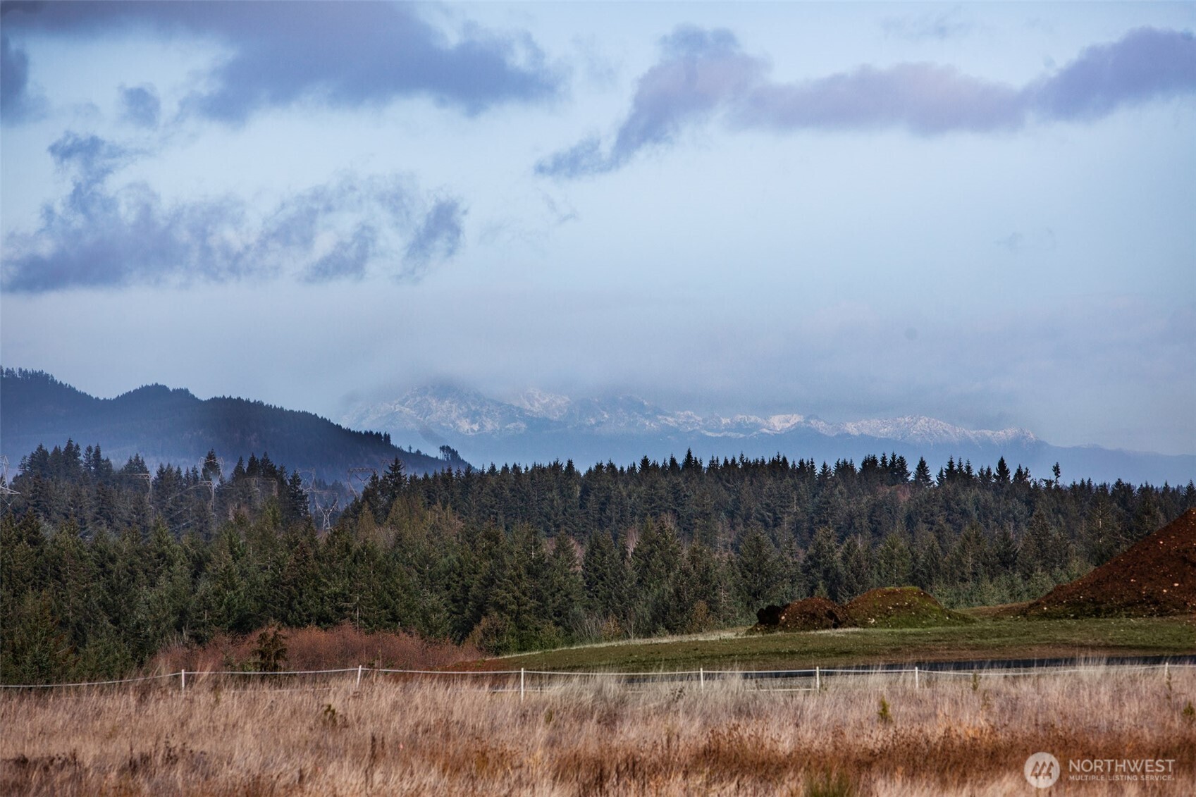 14010 Quiet Waters Lane Southwest Rochester, WA 98579 - Photo 12 of 17 a view of lake with mountain