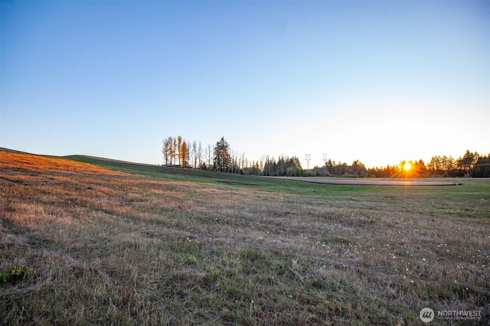 14010 Quiet Waters Lane Southwest Rochester, WA 98579 - Photo 17 of 17 a view of a field with an trees