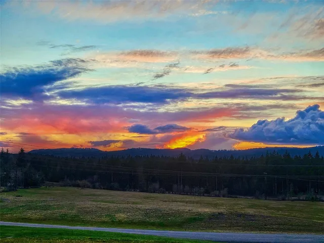 a view of an outdoor space and a yard