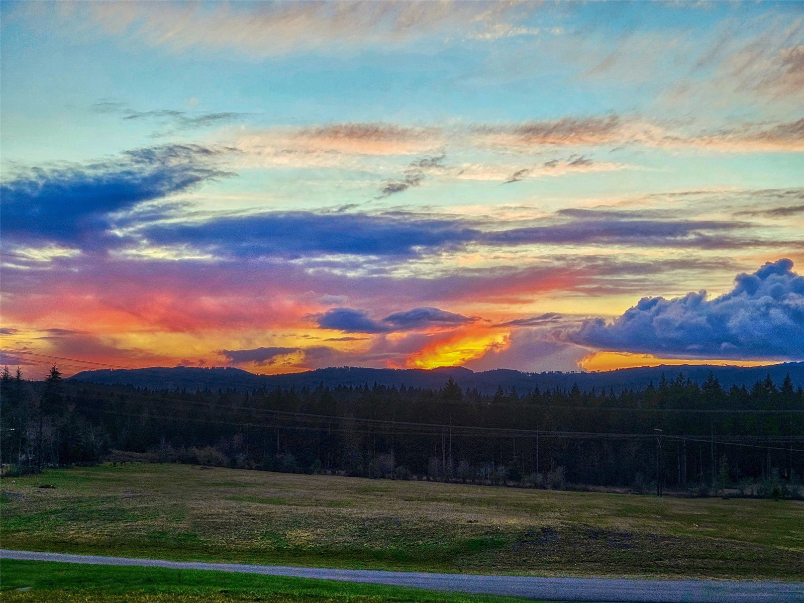 14010 Quiet Waters Lane Southwest Rochester, WA 98579 - Photo 2 of 17 a view of outdoor space and mountain view