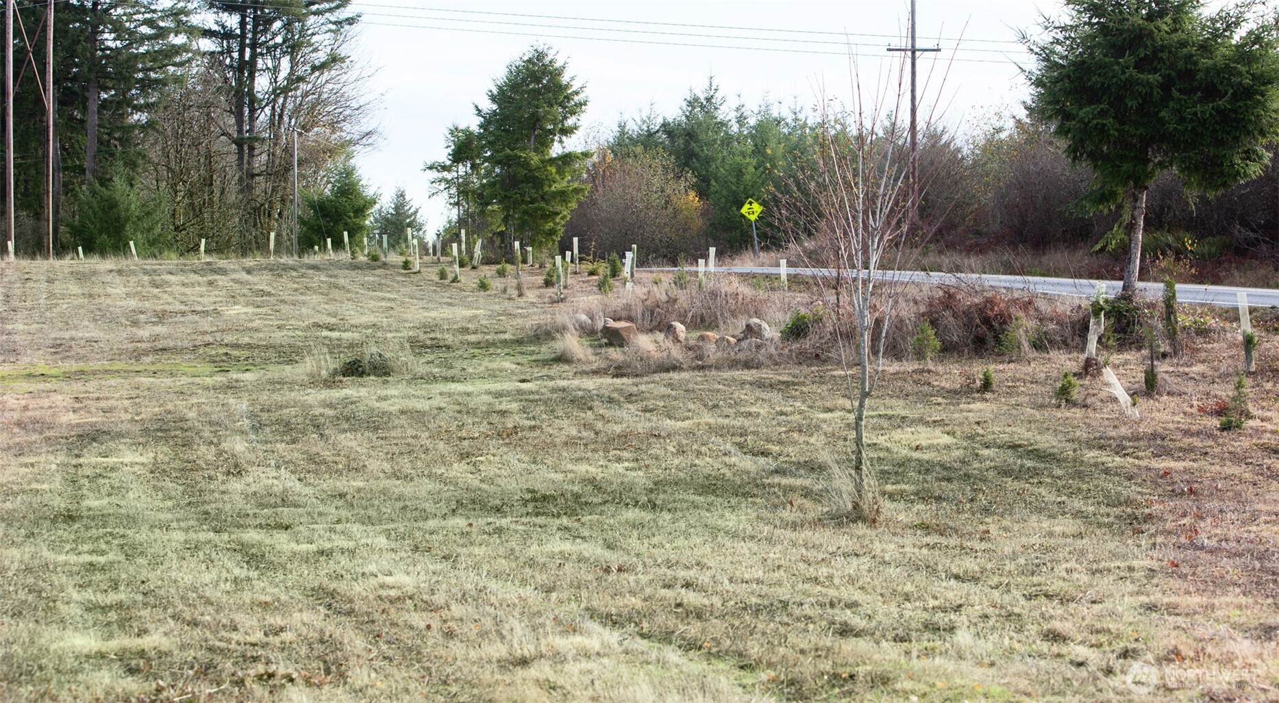 14010 Quiet Waters Lane Southwest Rochester, WA 98579 - Photo 10 of 17 a backyard of a house
