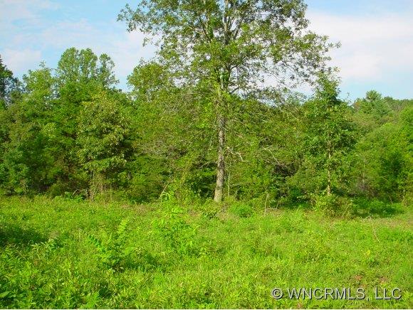 43 Rr 1 Fletcher, NC 28732 - Photo 1 of 2 Gallery Image 1