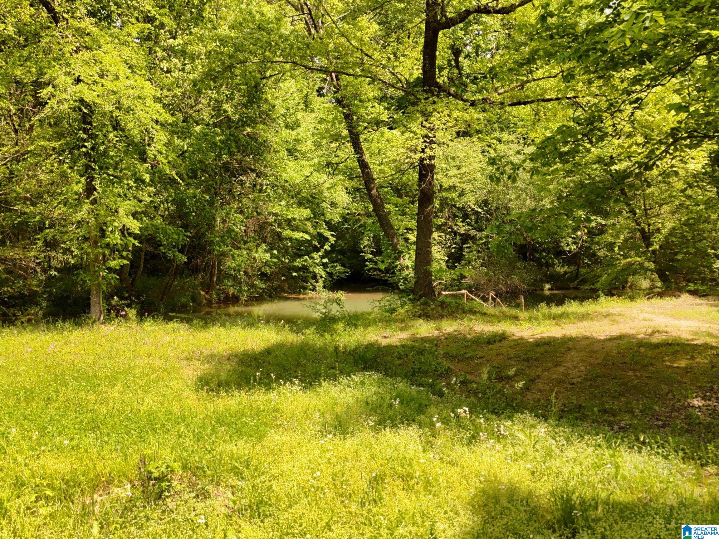 1336 Estes Road Piedmont, AL 36272 - Photo 11 of 50