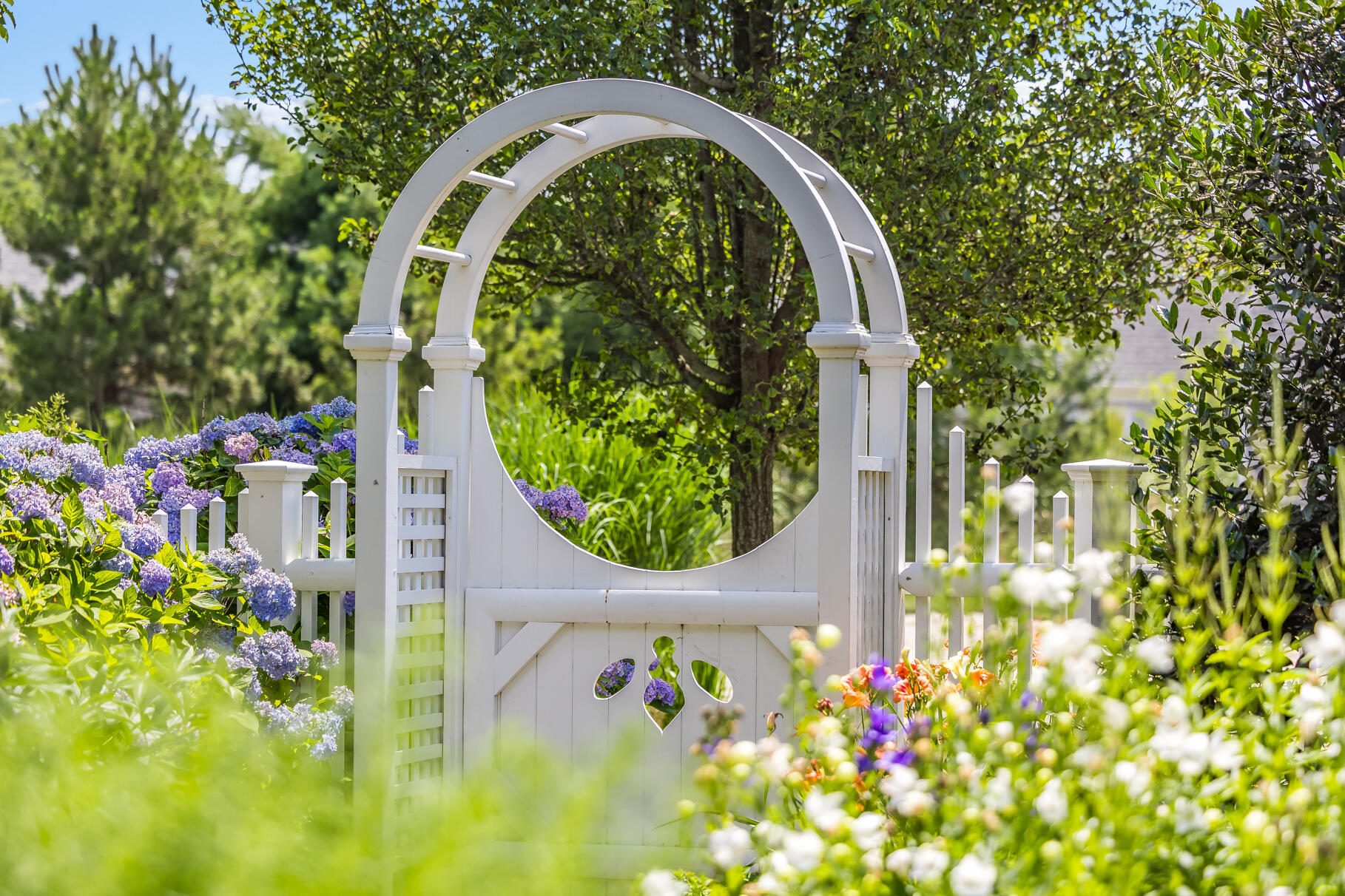 950 Massasoit Road Eastham, MA 02642 - Photo 50 of 66 9L4A4629