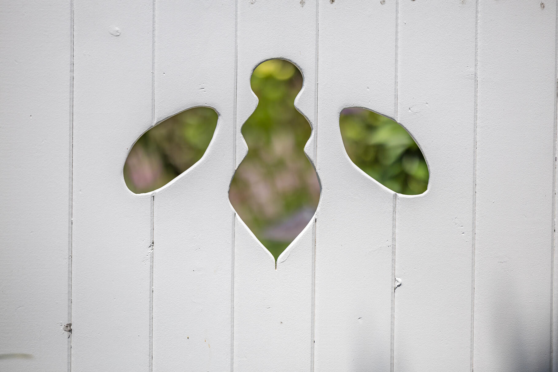 950 Massasoit Road Eastham, MA 02642 - Photo 51 of 66 9L4A4636